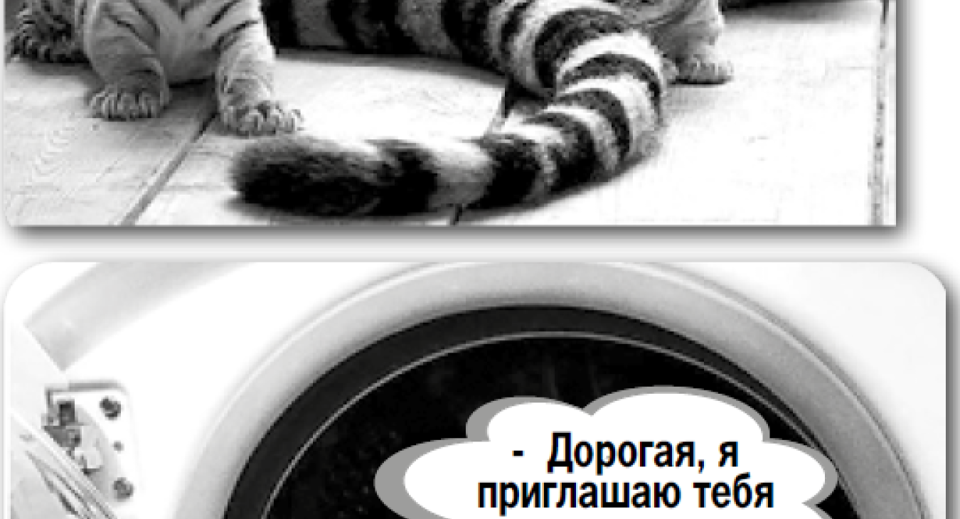 Anecdotes