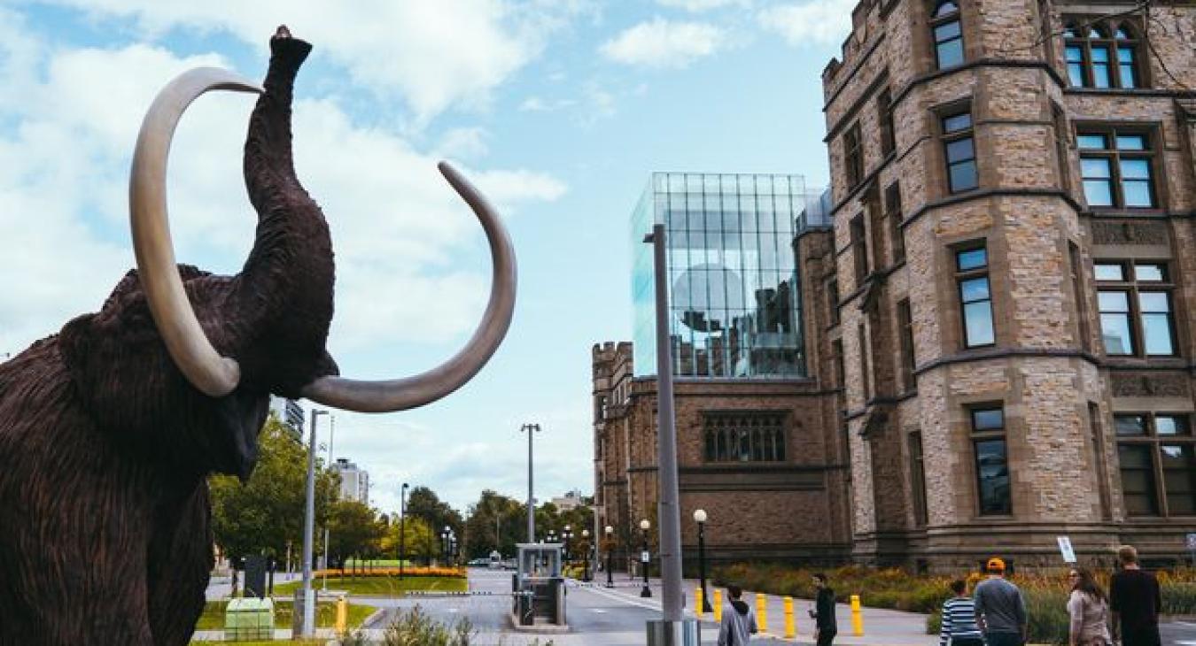 Museum of Nature