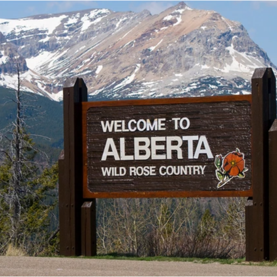 Albert