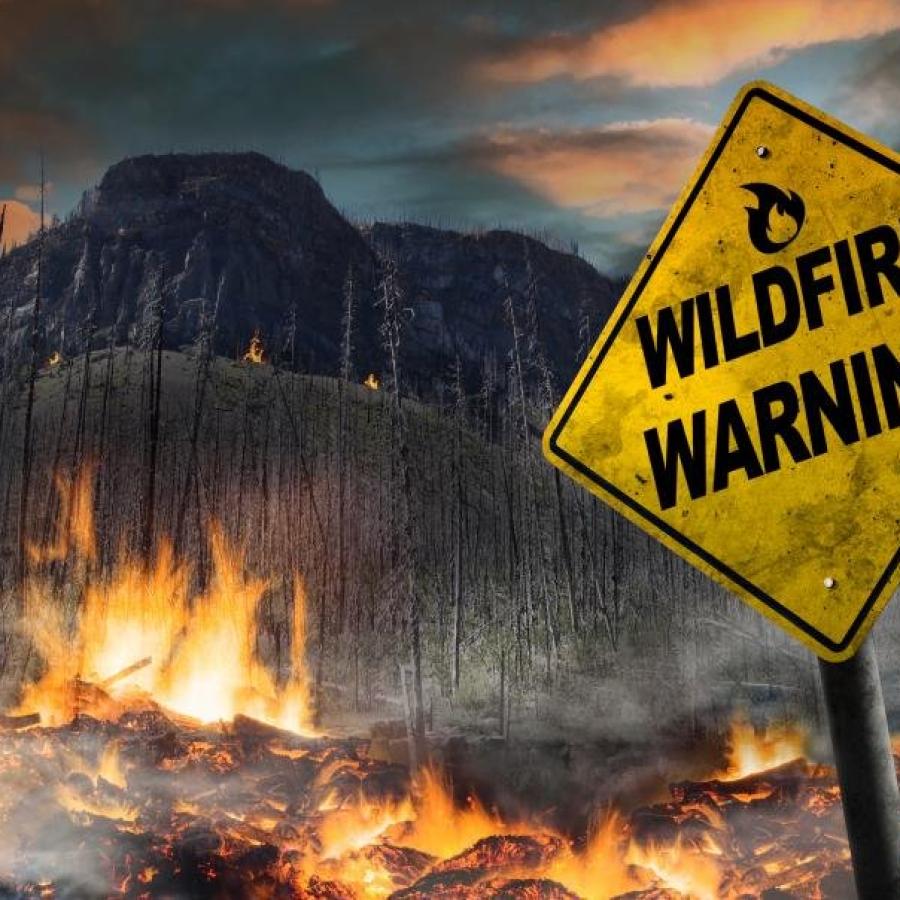 Wildfires 