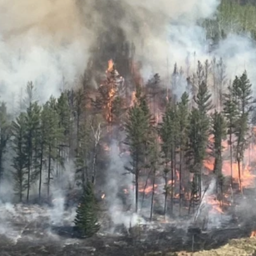 Wildfires