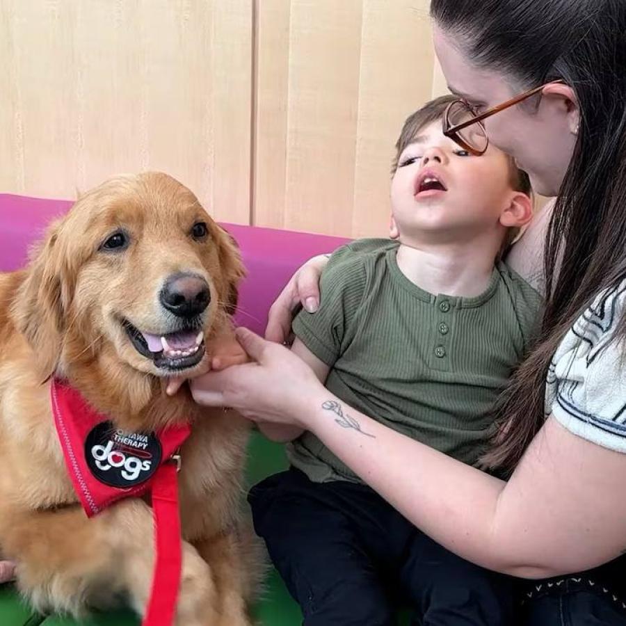 Therapy Dog